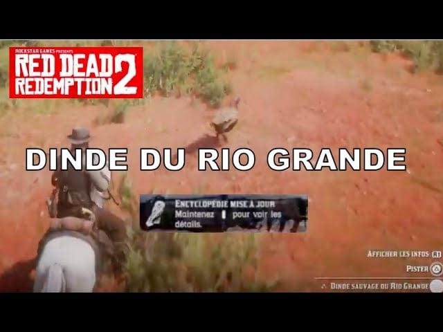 Emplacement de la DINDE DU RIO GRANDE - Red Dead Redemption 2 (PS4)