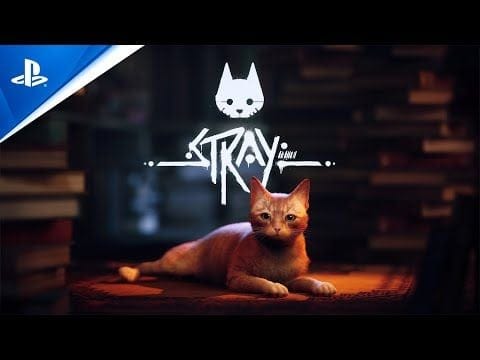Stray fera ses griffes le 19 juillet prochain sur PS4, PS5 et PC