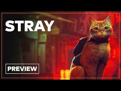 Stray : Une aventure chatberpunk prometteuse ? Notre premier avis en vidéo