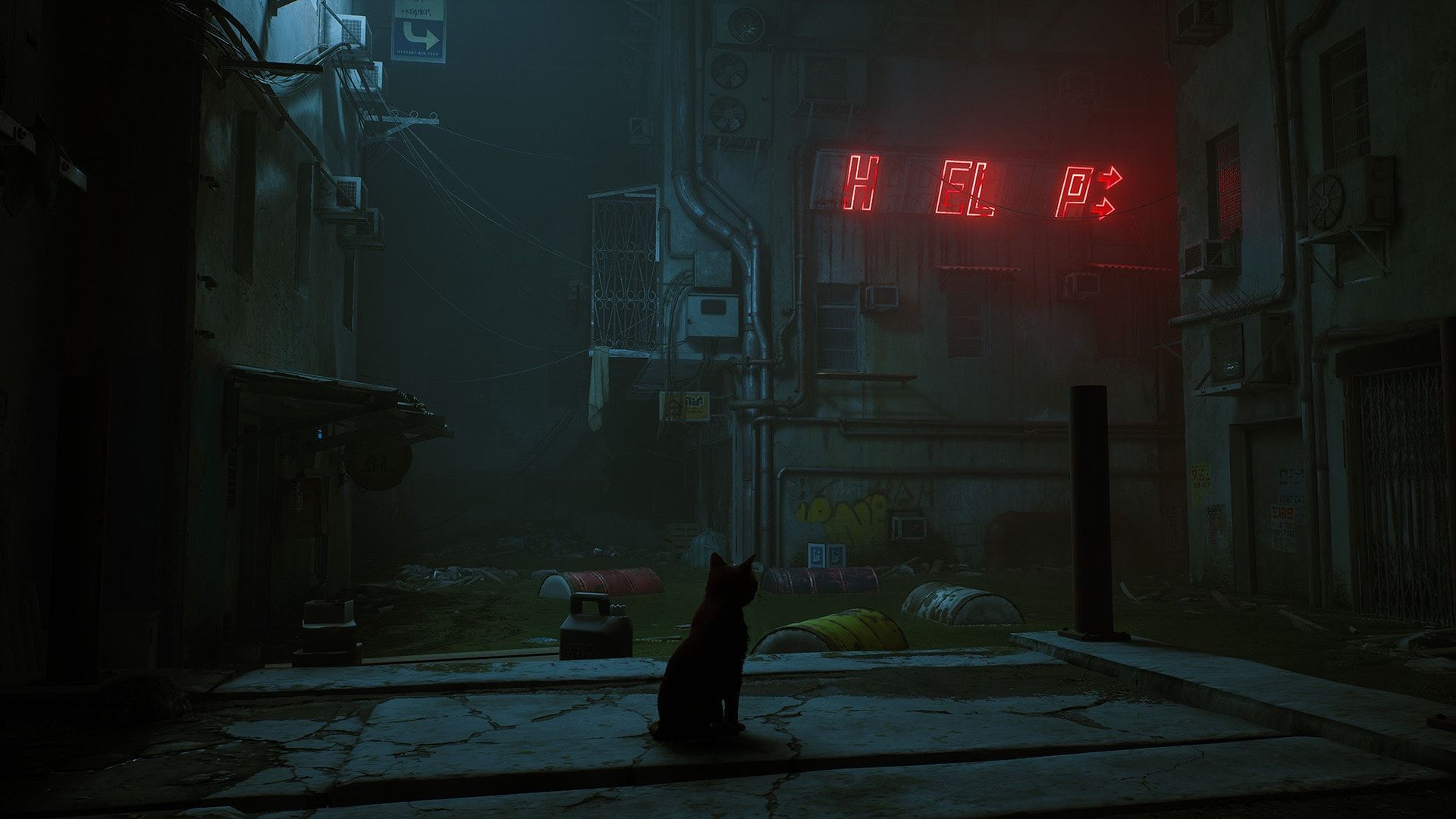 Stray : un film d'animation est en préparation
