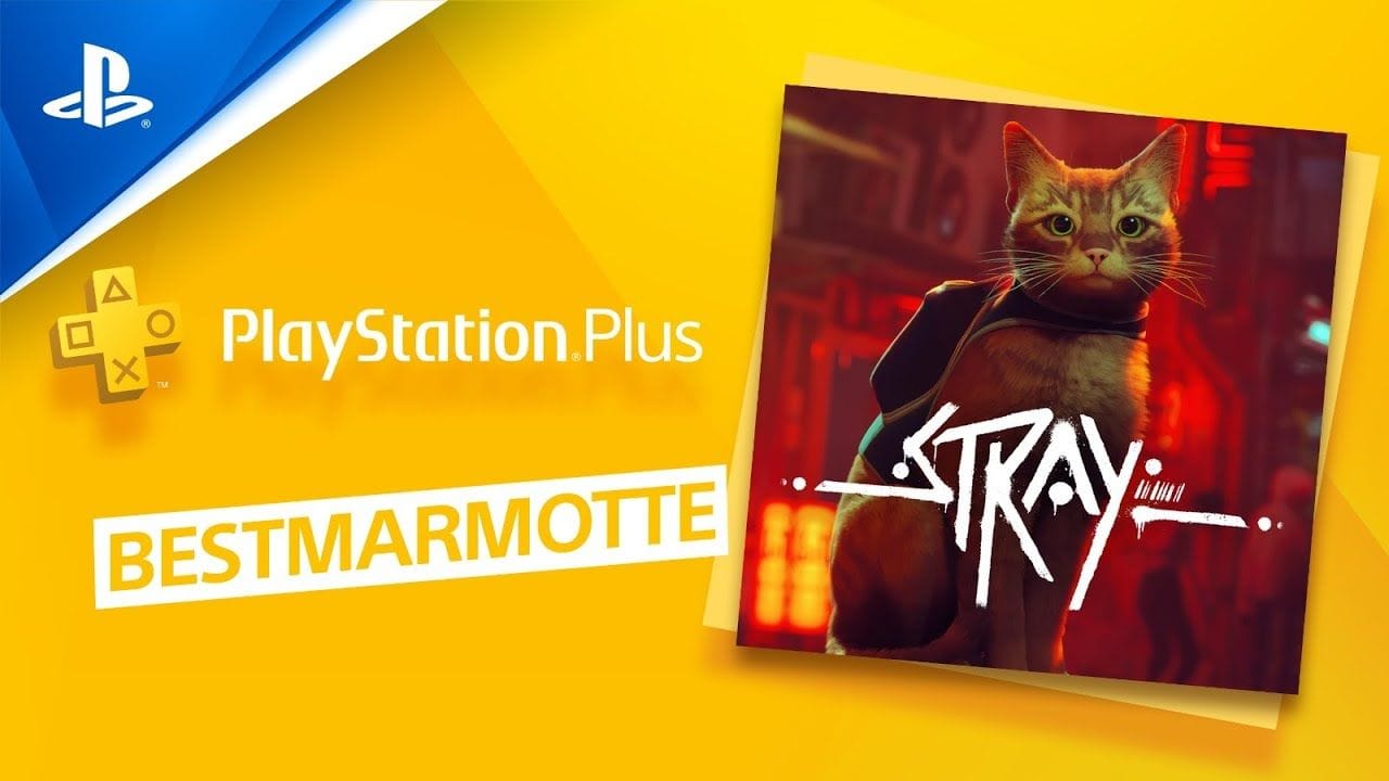 VOD stream Twitch - UN CHAT ET UNE MARMOTTE SUR STRAY ?! | PS5