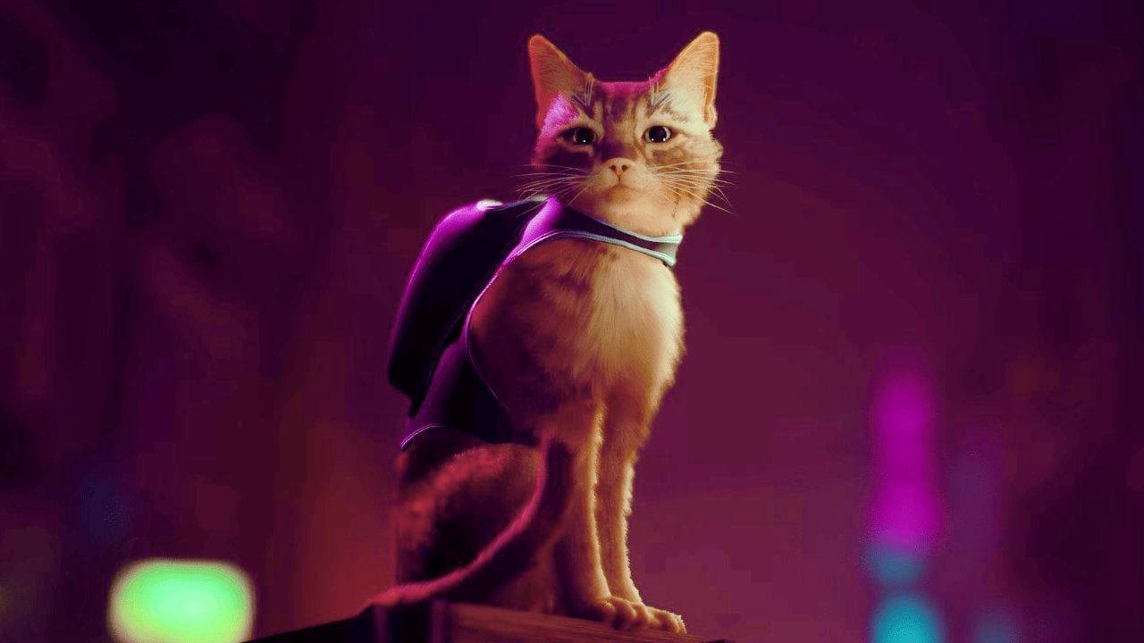 Stray : 5 nouveaux chats jouables et c'est pour la bonne cause