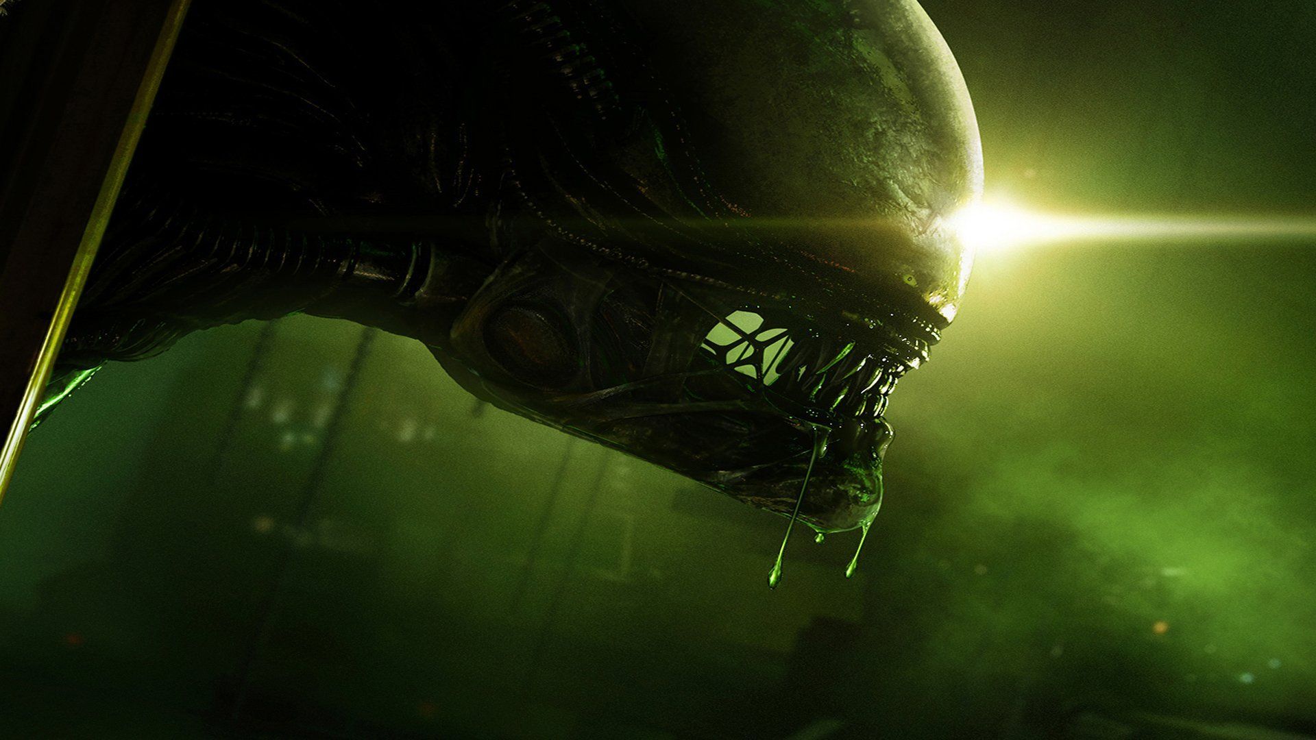 Un nouveau AAA Alien et la suite d'Alien Isolation dans les tuyaux ?