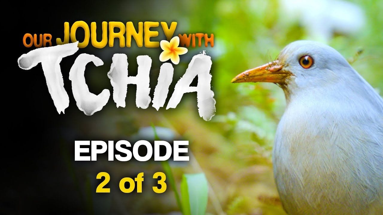 Tchia : Une vidéo des coulisses pour nous présenter les somptueux paysages de la Nouvelle-Calédonie