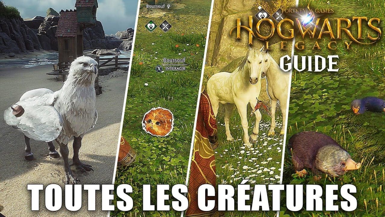 Hogwarts Legacy : Toutes les Créatures Fantastiques (Emplacements & Vitrine) GUIDE De Reproduction