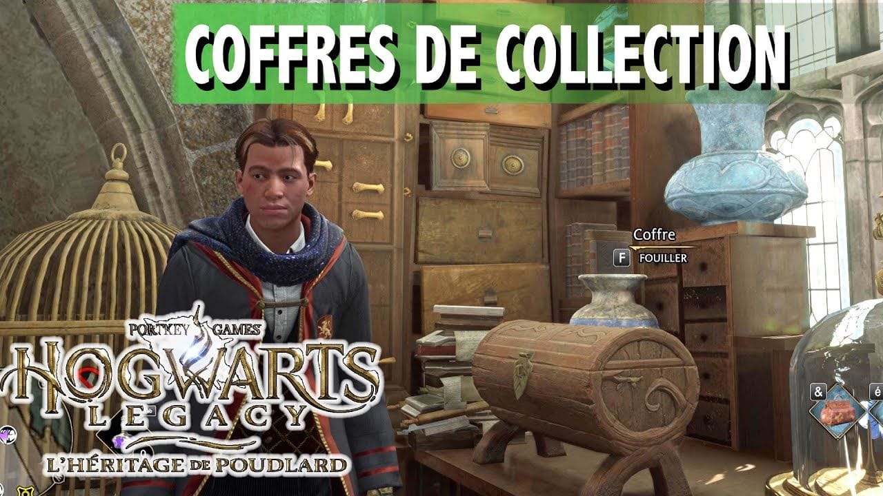 TOUS LES COFFRES DE COLLECTION X7 - POINTE DU MANOIR - HOGWARTS LEGACY L'HERITAGE DE POUDLARD