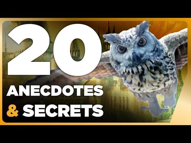 Hogwarts Legacy : 20 nouveaux secrets et anecdotes au cœur de Poudlard 🔥 JV Facts