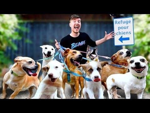 J'ai Adopté TOUS Les Chiens D'un Refuge