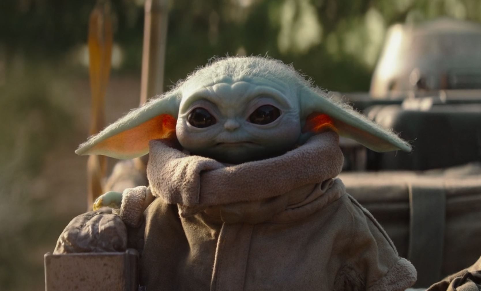 The Mandalorian : une mauvaise nouvelle pour la série Star Wars, tout est arrêté