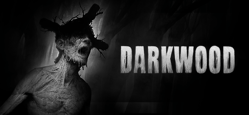 Les développeurs Darkwood s’arrêtent indéfiniment