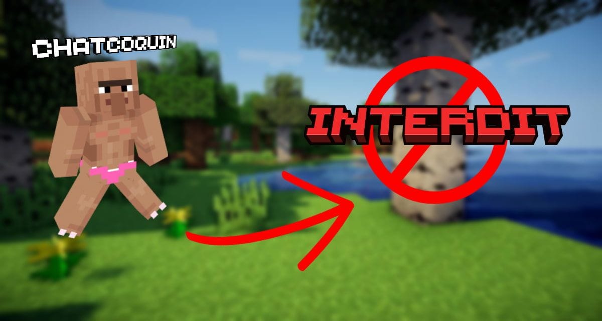 Minecraft 1.20.2 – Snapshot 23w33a : Signalement et régulation des skins et noms de joueurs inappropriés - Minecraft.fr