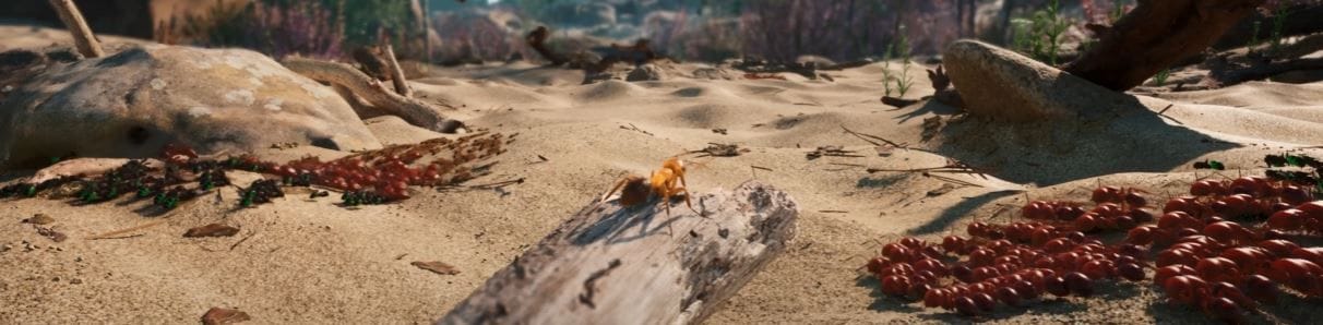 Les Fourmis se montre