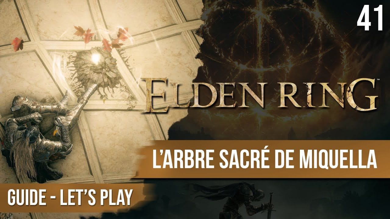 Guide Elden Ring : L'arbre Sacré de Miquella - 41 - chapitrage dispo