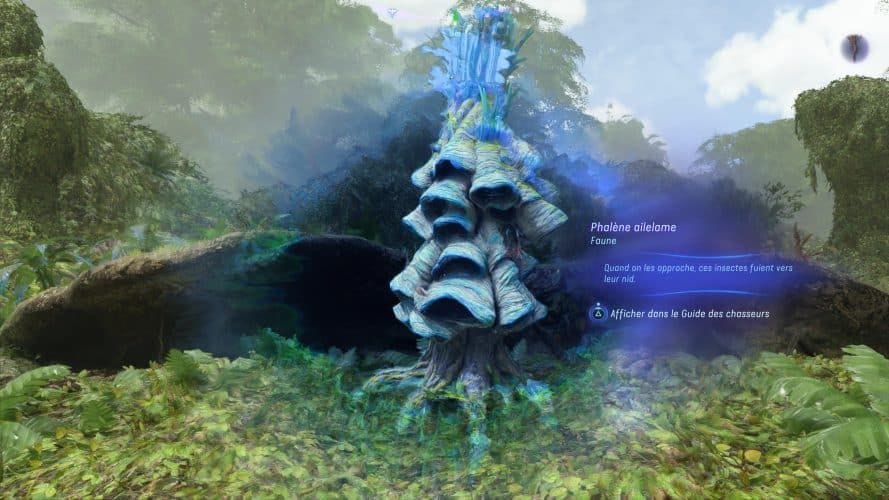 Localisation des 11 Phalènes ailelames | Guide Avatar Frontiers of Pandora