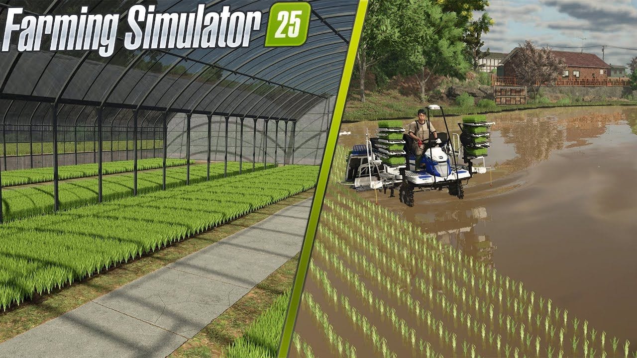 🆕FARMING SIMULATOR 25 | Les DERNIÈRES Info sur le RIZ !!🍚🌾🌱