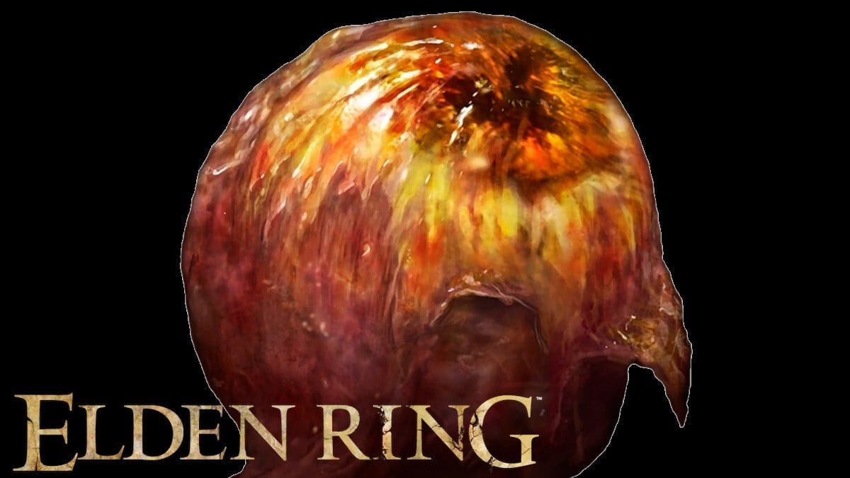 Fruit de Shabriri Elden Ring : Position, comment tous les obtenir ?