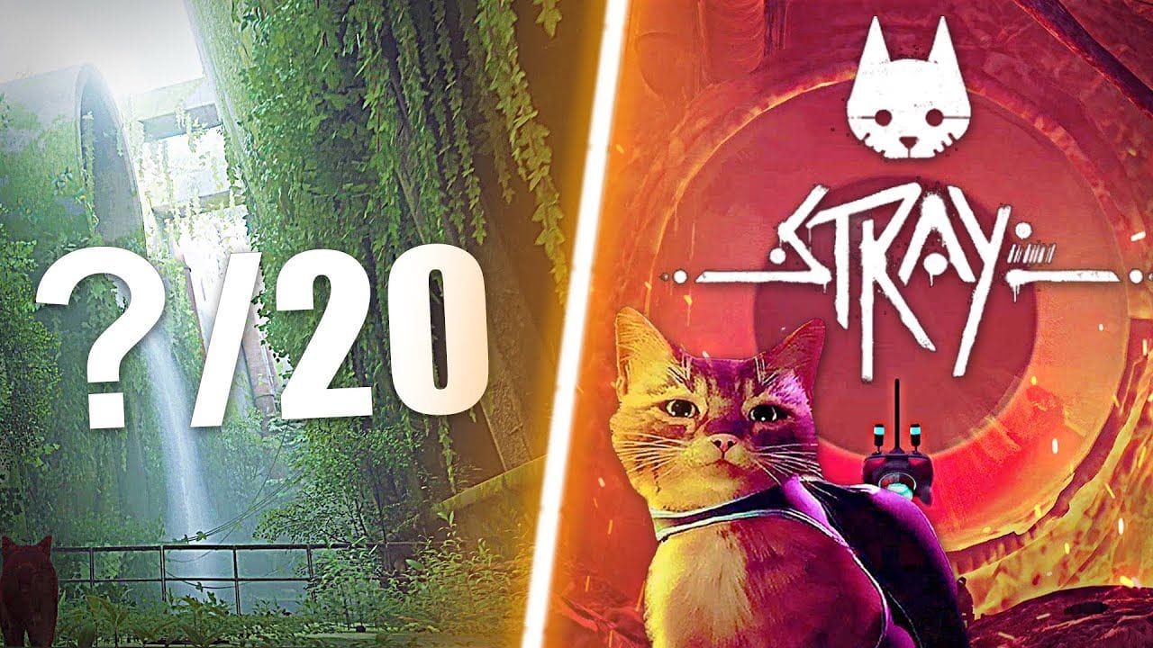 STRAY : LE TEST 🐈 ! JEU DE  L'ANNÉE ou TERRIBLE déception !? Mon AVIS et ma NOTE