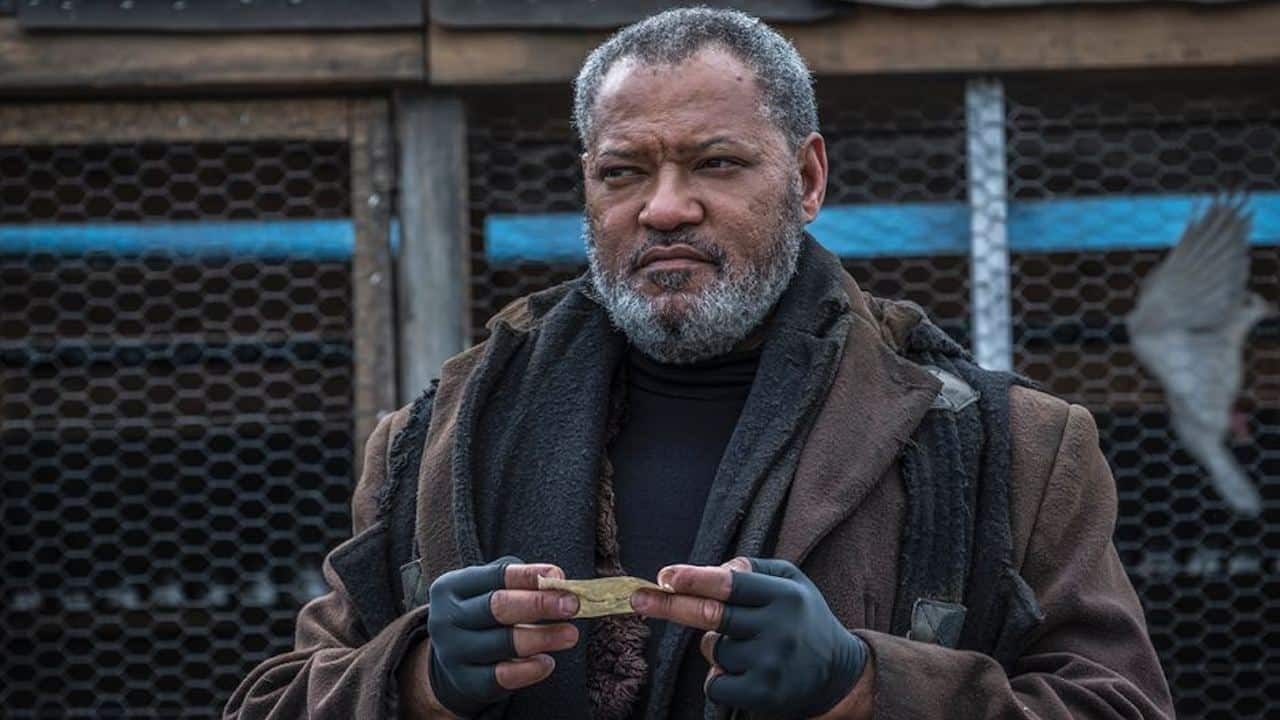 The Witcher : Laurence Fishburne (Matrix, John Wick) rejoint la saison 4 de la série dans le rôle de Regis