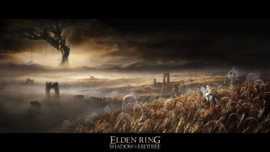 Le DLC d'Elden Ring semble bouger sur Steam, bientôt une annonce ?