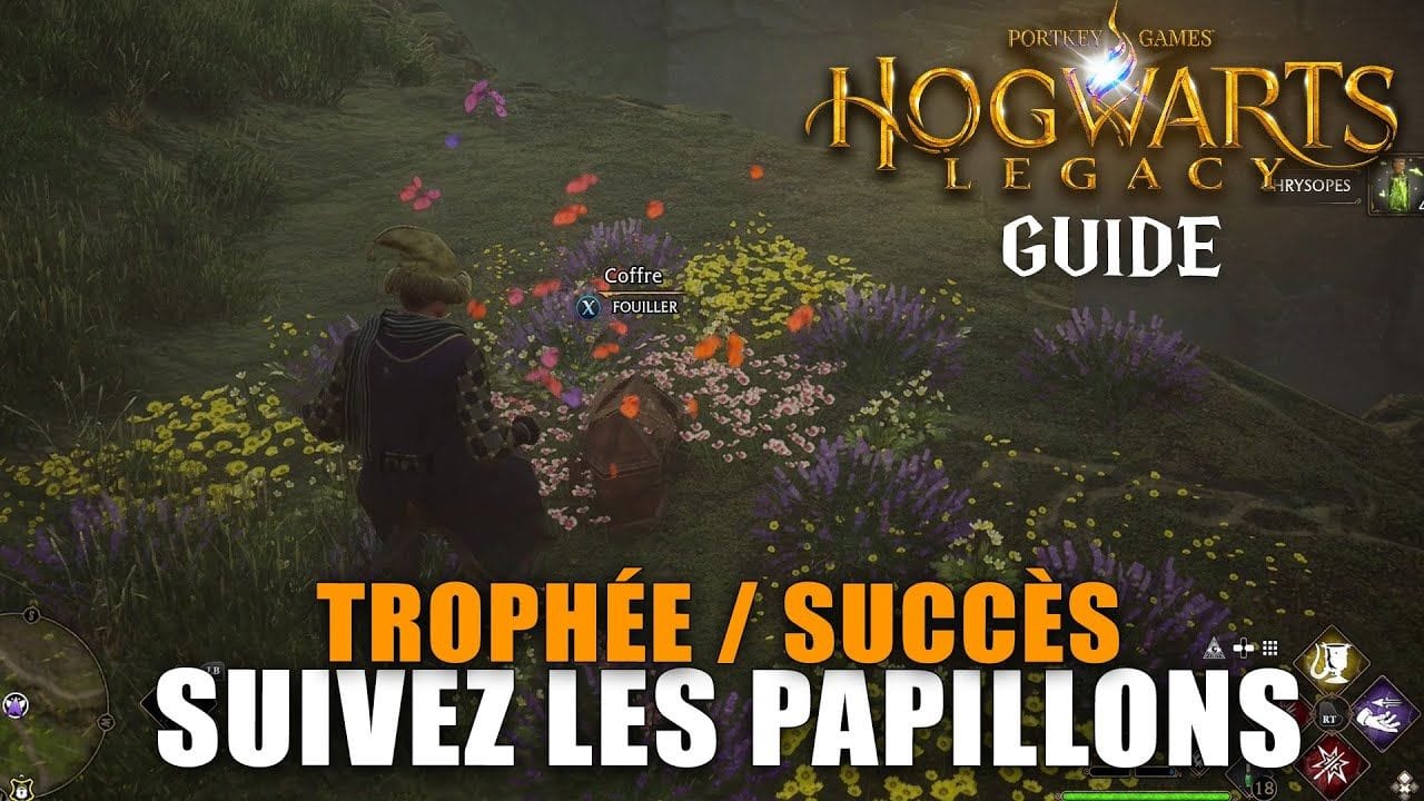 Hogwarts Legacy : Trophée / Succès - Suivez les papillons : Suivre les papillons jusqu'à un trésor