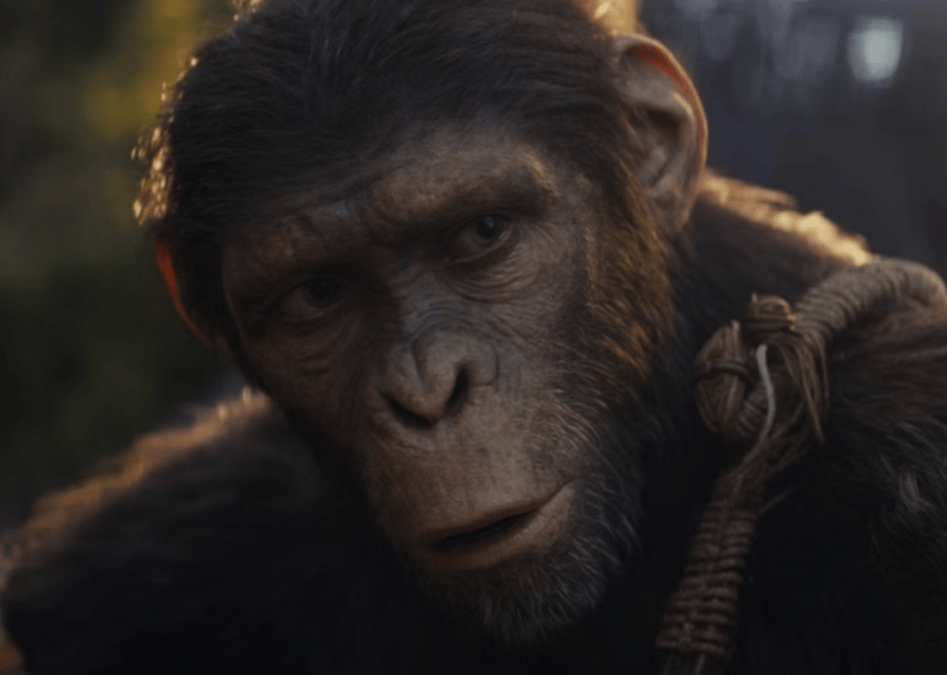 Kingdom of the Planet of the Apes Les acteurs ont fréquenté l'"école des singes" pendant six semaines avant le tournage