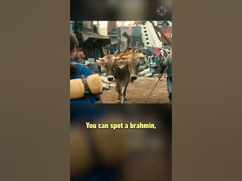 Fallout game references