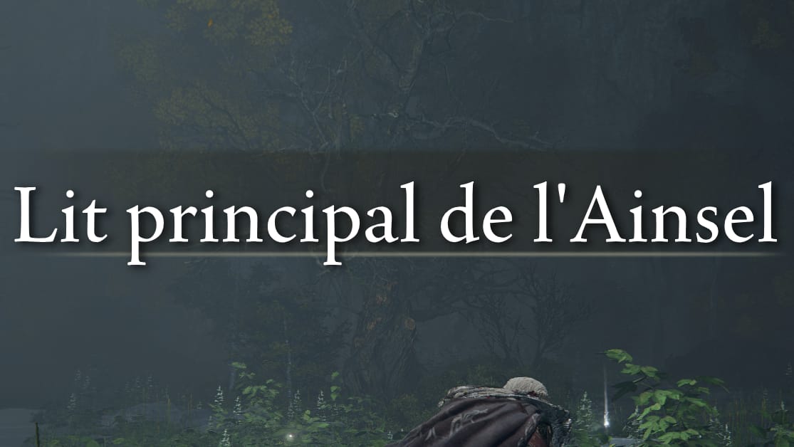 Lit Principal de l'Ainsel