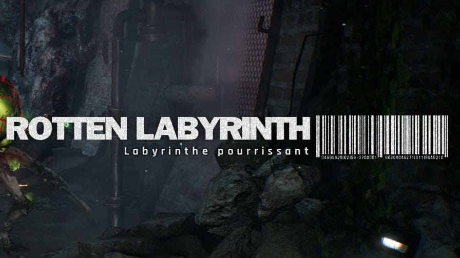 Labyrinthe pourrissant