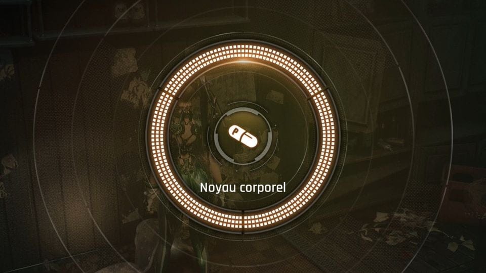 Noyaux Corporels