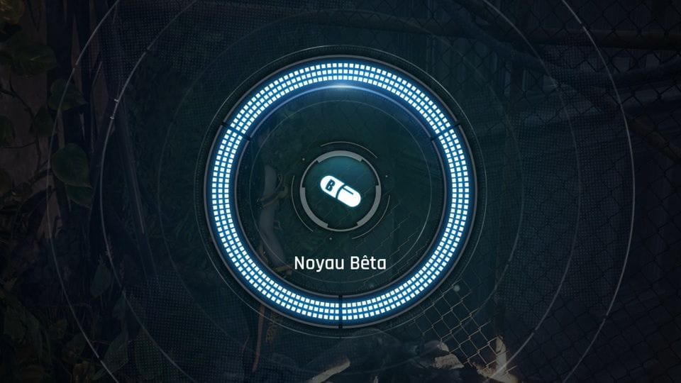 Noyaux Bêta