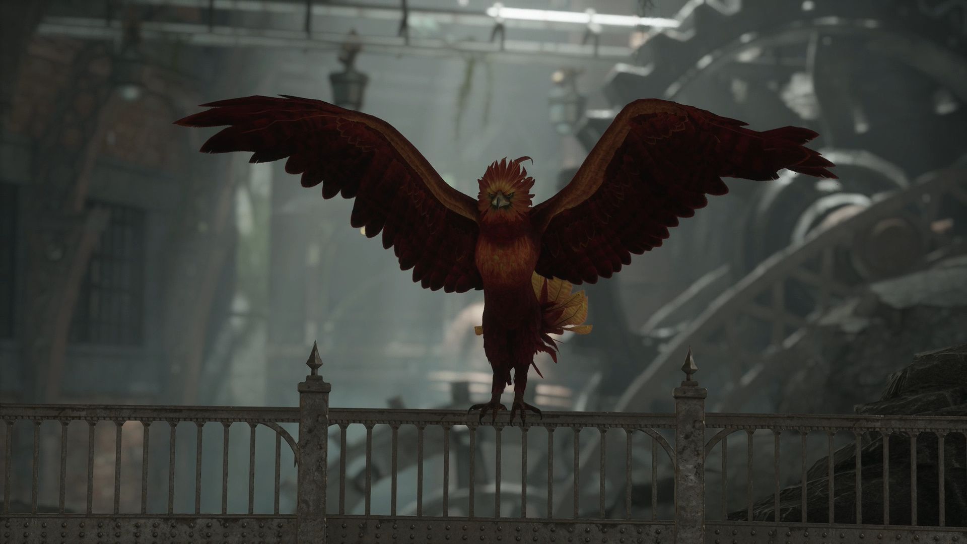 L'envol du Phénix
