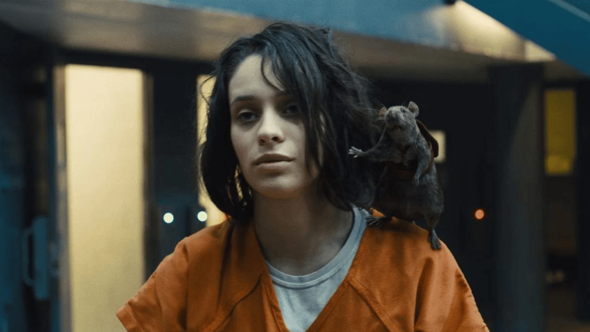 Il existe 2 versions de ce film sur Netflix ! Le service SVOD a fait un choix stratégique et les résultats sont là : il est TOP 4