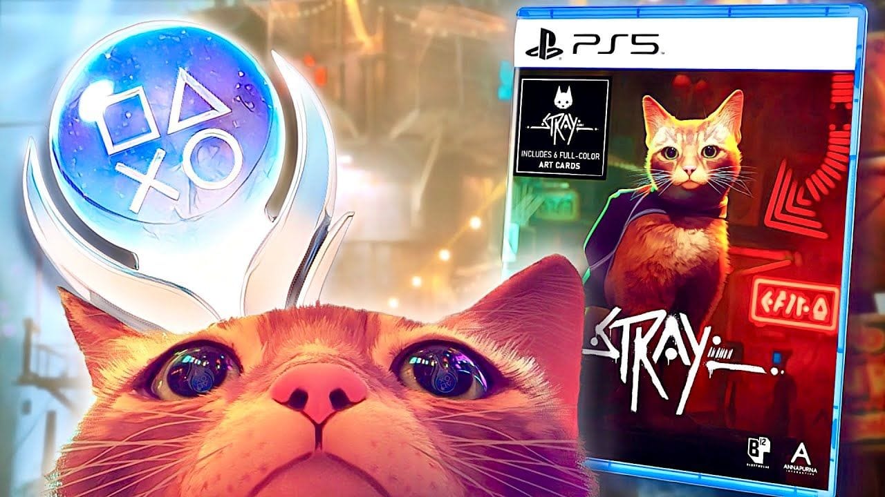 Je Platine STRAY aussi VITE que POSSIBLE !