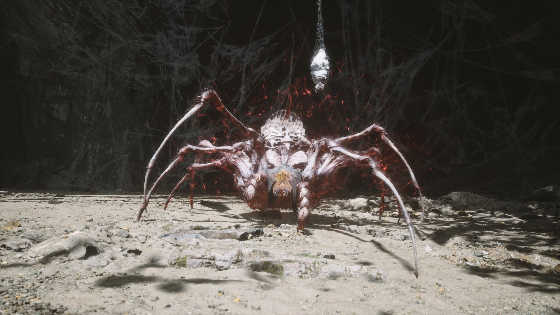 Araignée Pourpre