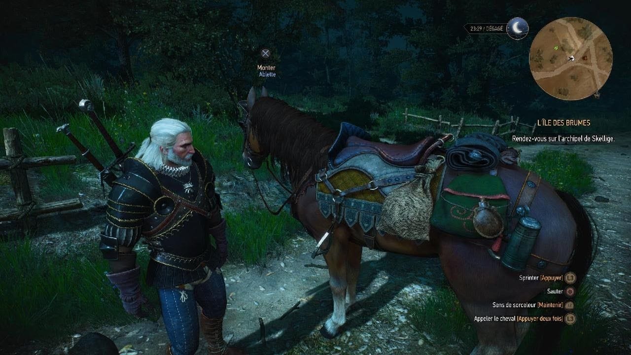 The Witcher 3: Wild Hunt