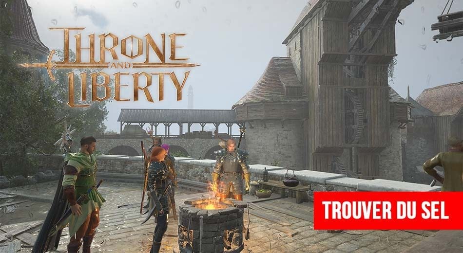 Ingrédient de cuisine dans Throne And Liberty ou trouver du sel | Generation Game