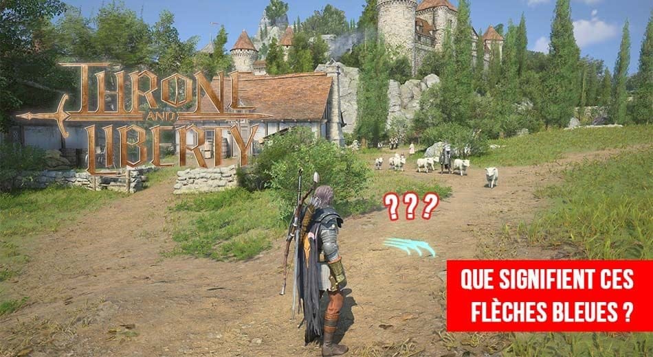 À quoi servent les flèches bleues autour de notre personnage dans Throne and Liberty ? | Generation Game