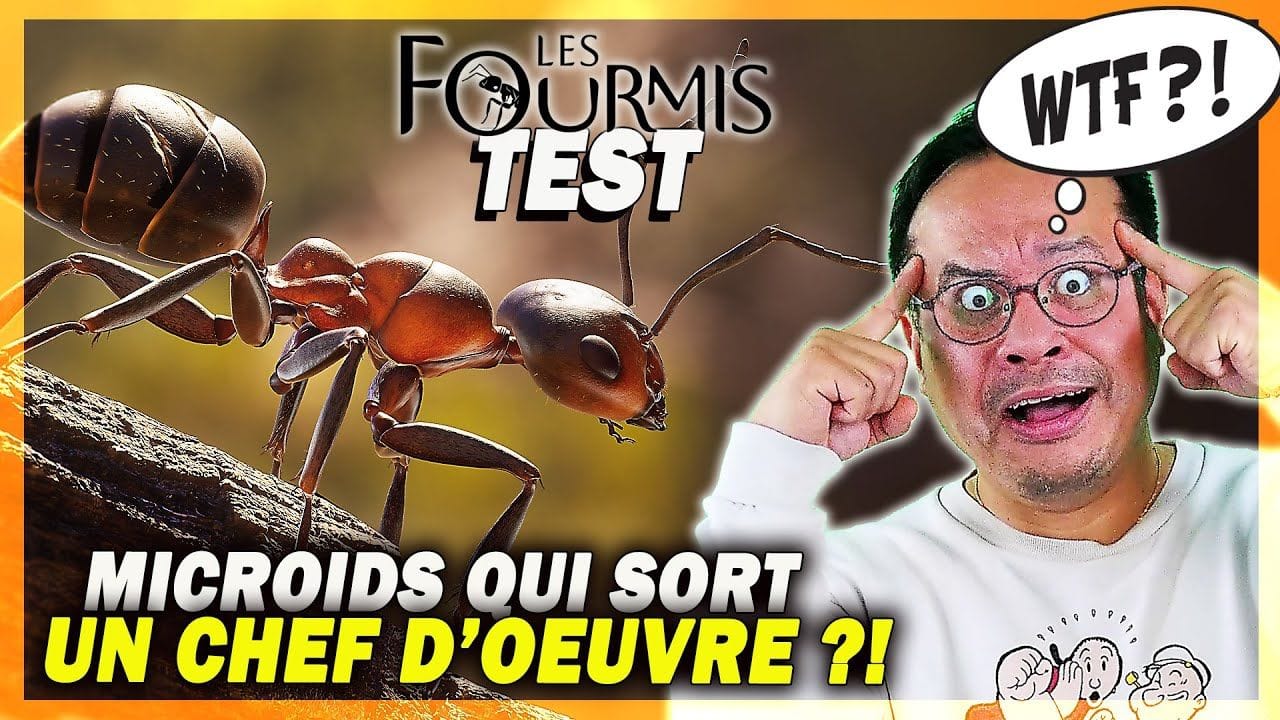 J'ai fini Les Fourmis : l'un des plus beaux et surprenants jeux de l'année ! (TEST + GAMEPLAY 4K)