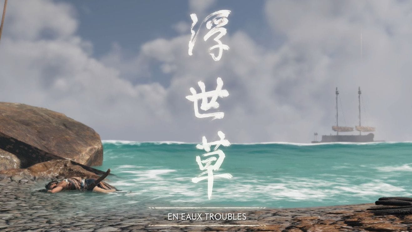 En eaux troubles
