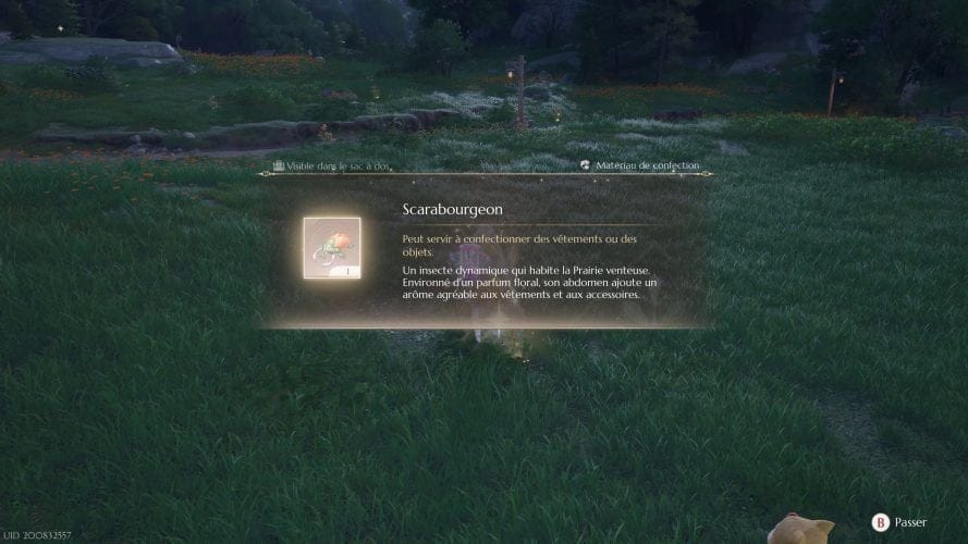 Où attraper des scarabourgeons, localisation | Guide Infinity Nikki
