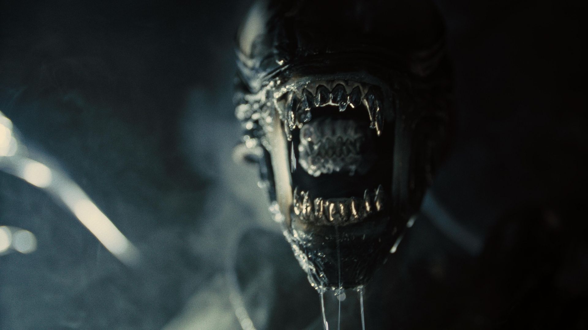 Alien: Romulus arrive enfin sur Disney+ au Royaume-Uni et en Europe