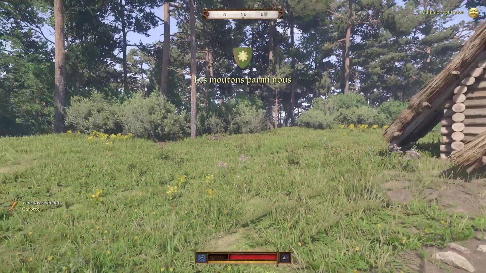 Les moutons parmi nous | Soluce Kingdom Come Deliverance II