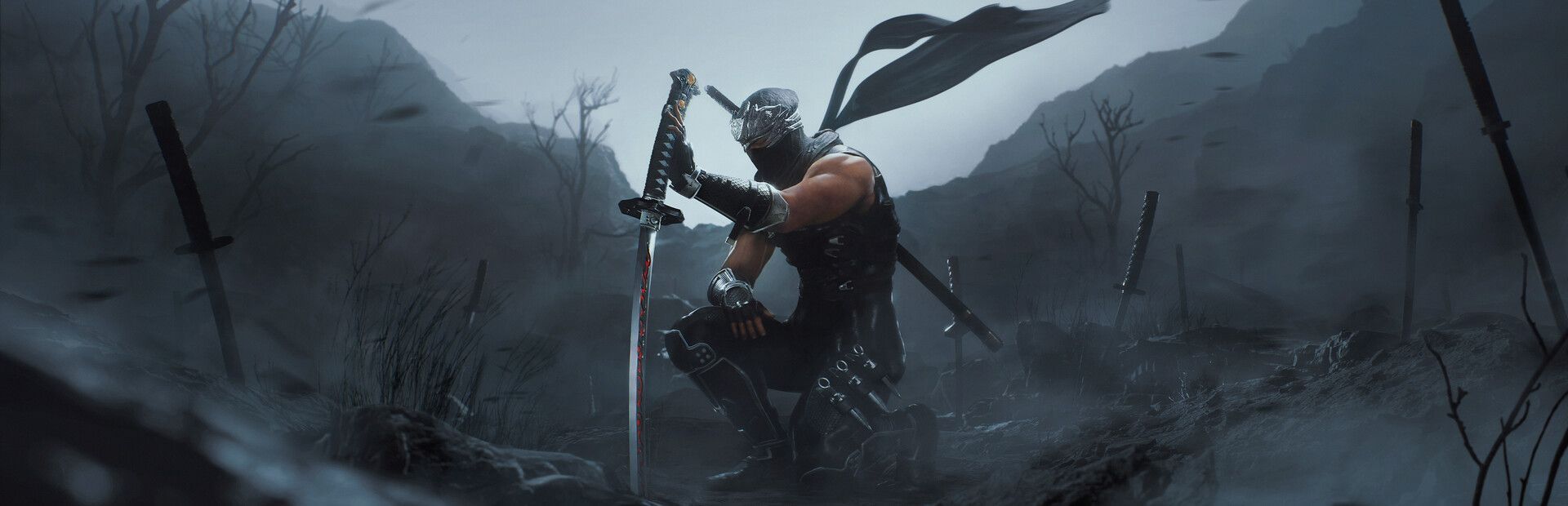 Ninja Gaiden 2 Black se met à jour avec un New Game+ et un mode Photo