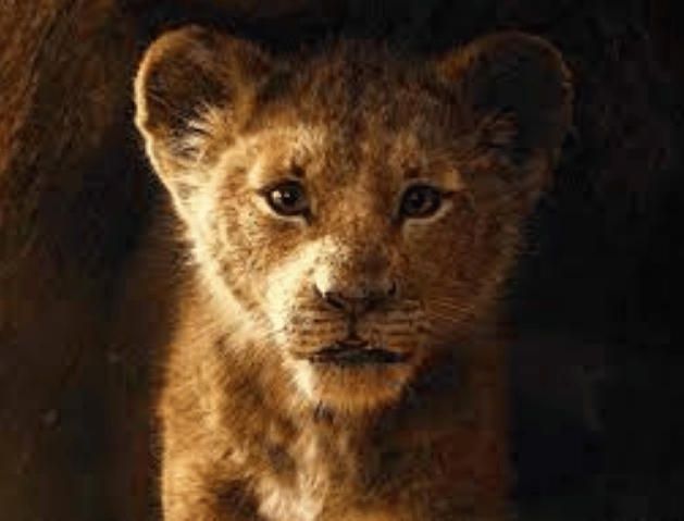 Mufasa: The Lion King arrive sur Disney+ dans quelques semaines
