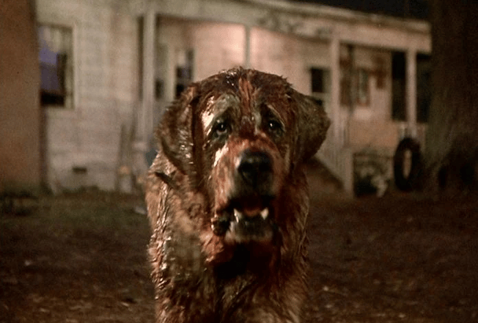 Netflix prévoit un remake du film Cujo de Stephen King