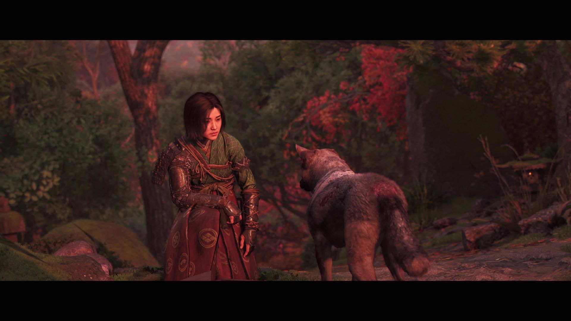 Adopter un animal de compagnie (30 millions d'amis... bientôt) | Guide Assassin's Creed Shadows