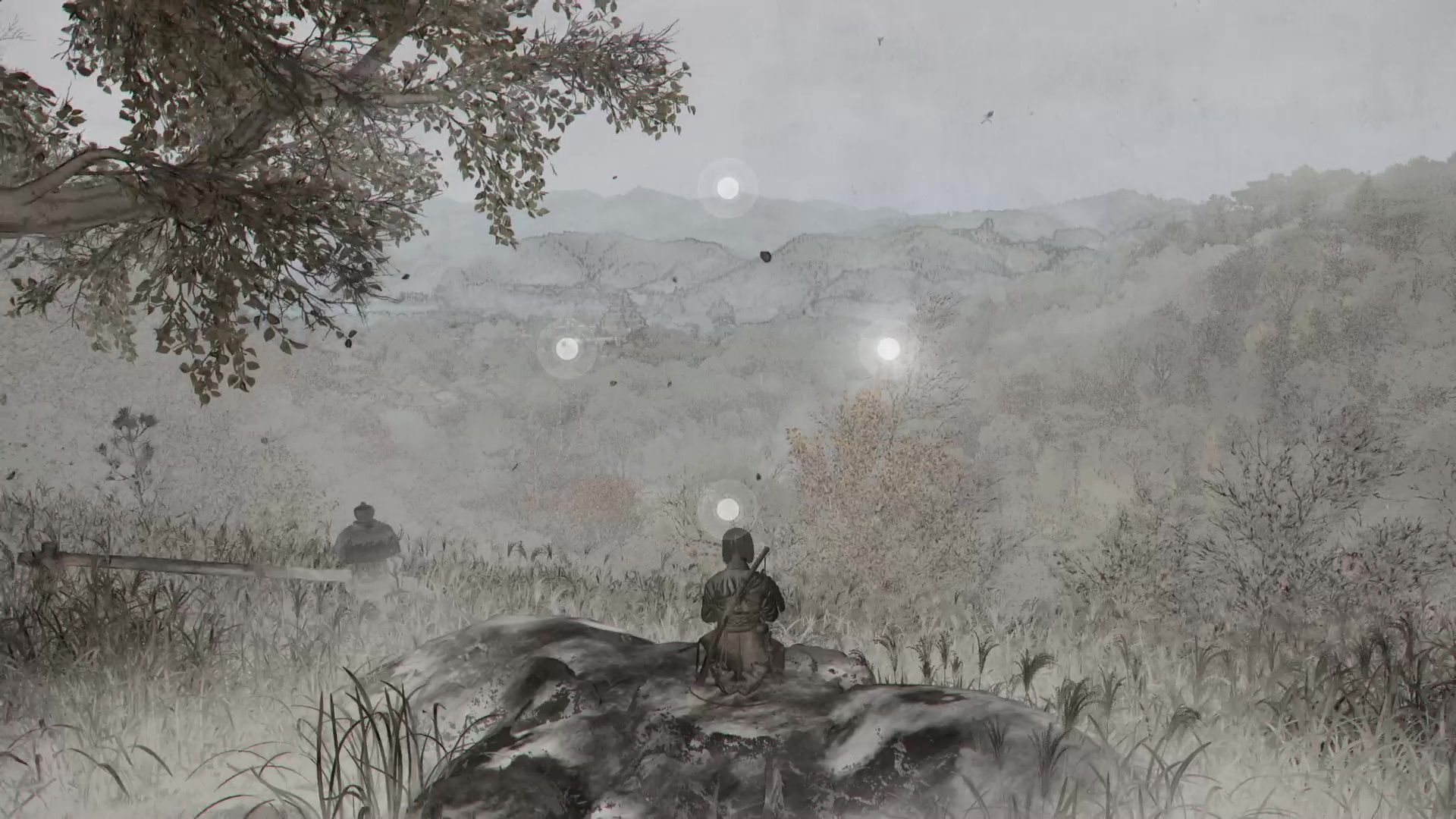 Collectibles, où les trouver | Guide Assassin's Creed Shadows