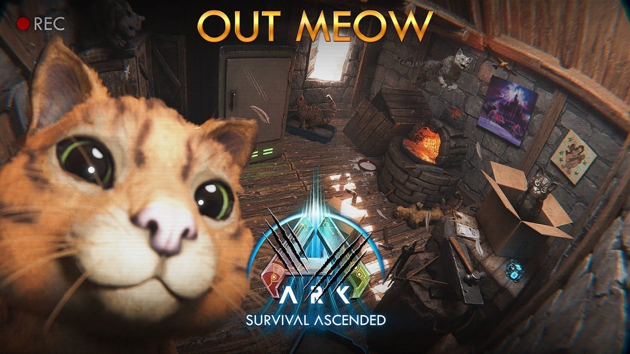The Cat: Out Meow