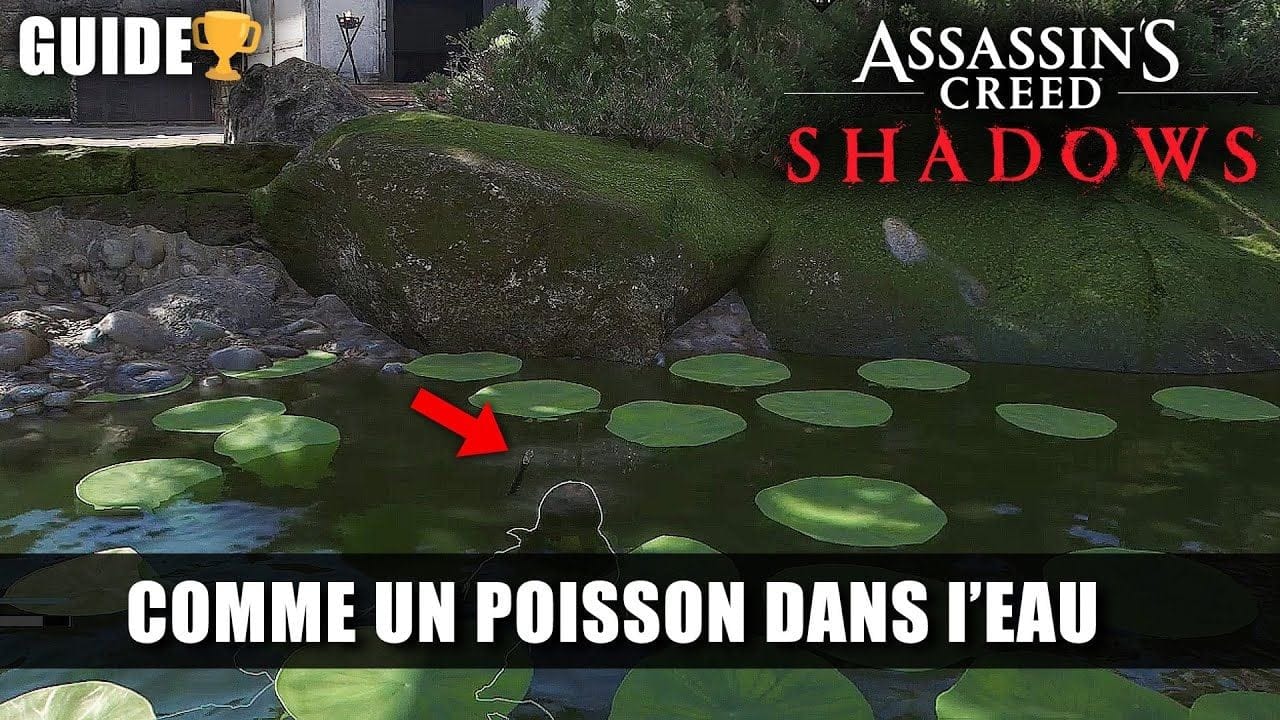 Assassin's Creed Shadows: 🏆 Comme un poisson dans l'eau Guide Trophées Succès (Conflit Bambou Creux)
