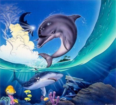 Ecco the Dolphin va faire son retour au travers de plusieurs projets menés par son créateur !